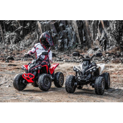 Elektrická štvorkolka Can-am Renegade,  kaki